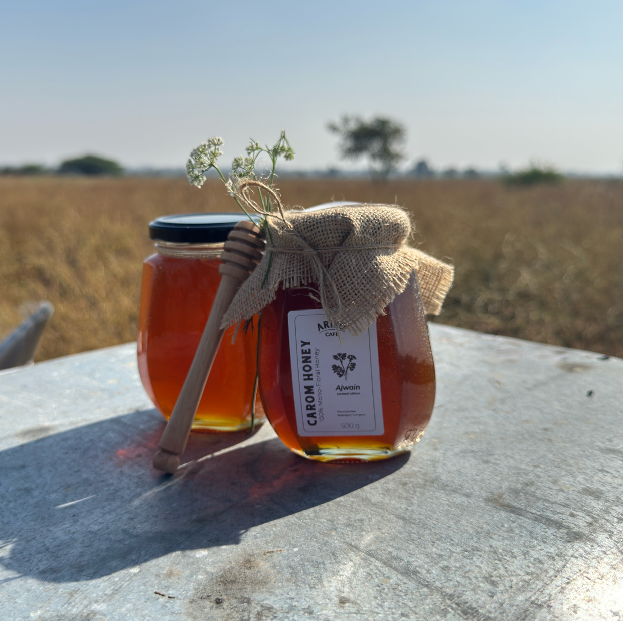 Ariko Carom Honey (Herbal & Therapeutic)